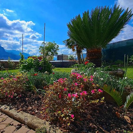 Le Rose Sul Lago Pescate Kültér fotó