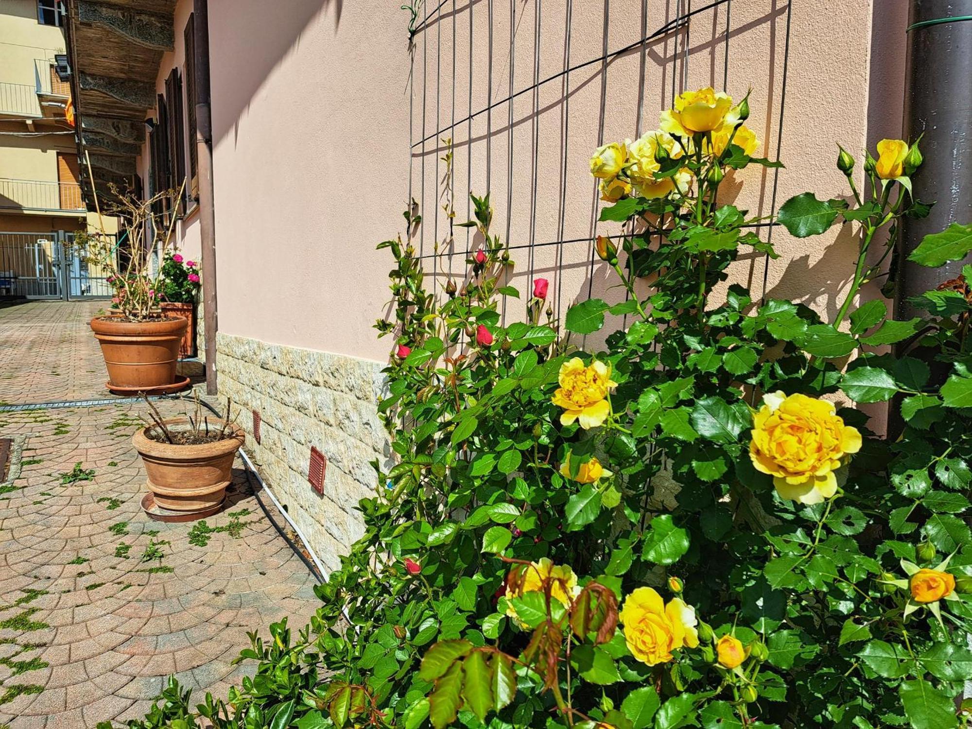 Le Rose Sul Lago Pescate Kültér fotó